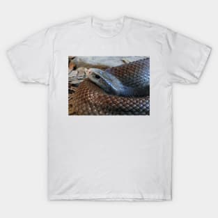 Coastal Taipan T-Shirt